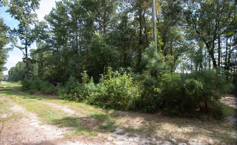 14 Big Eagle Road, Atkinson, NC 28421 for Sale