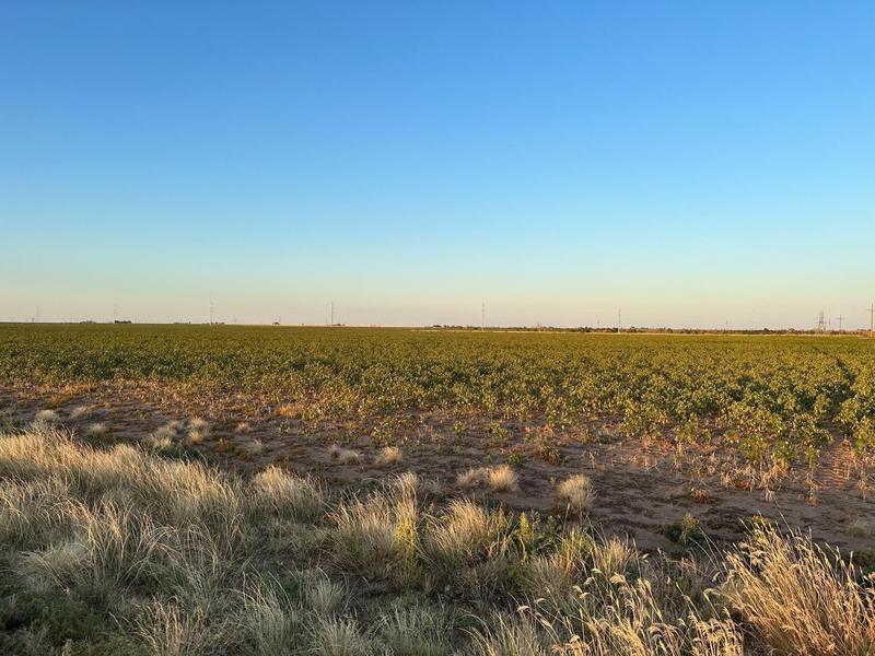 3 County Road 5400, Lubbock, TX 79403 for Sale