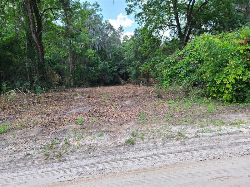 0 Southeast 95th Street, Ocklawaha, FL 32179 for Sale