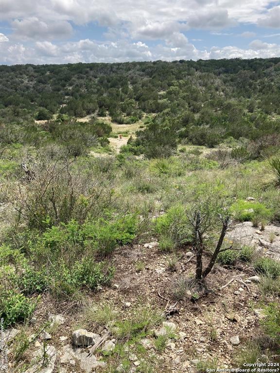 55 ACRES LEONA RANCH, Brackettville, TX 78832 for Sale