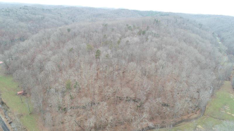 Elizabeth, Calhoun County, WV Undeveloped Land for sale Property ID: 418841190