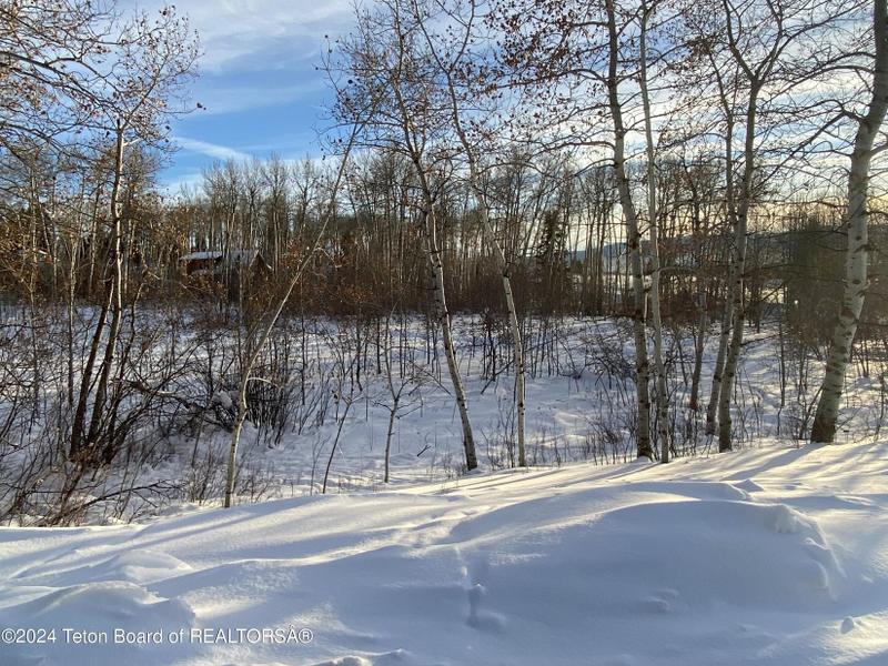 Thayne, Lincoln County, WY Undeveloped Land, Homesites for sale Property ID: 418749928