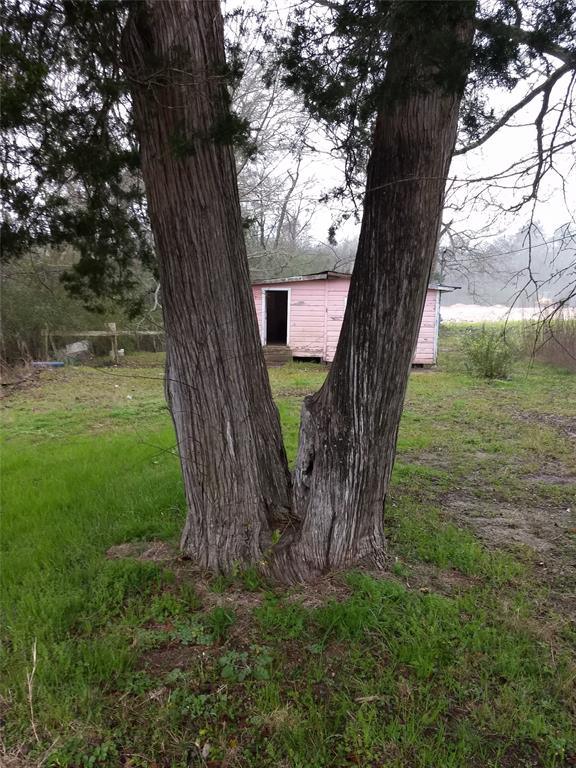 15522 Farm To Market 1774, Plantersville, TX 77363 for Sale