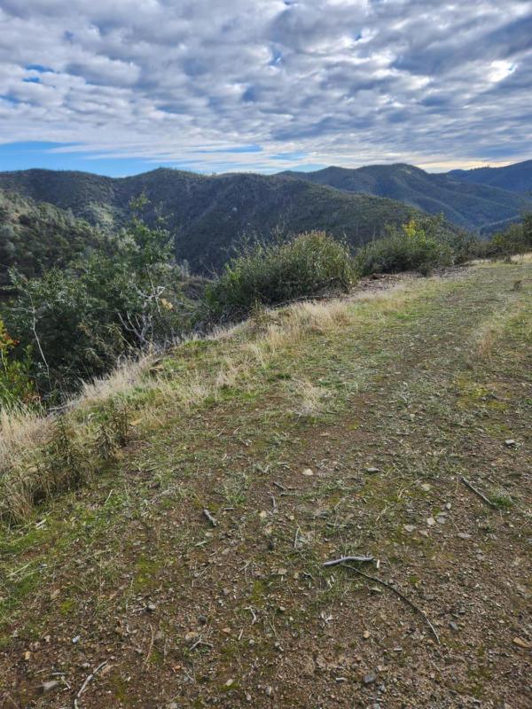 11026 GILL HAVEN DRIVE, Mokelumne Hill, CA 95245 Land For Sale  MLS# 224006600 for Rent