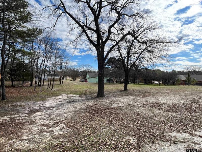 Lot 159 Pagosa Ln, Holly Lake Ranch, TX 75765 for Sale