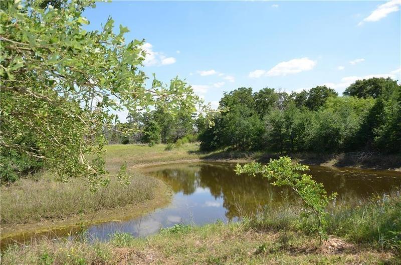 165 Marjess Dr, Cedar Creek, TX 78612 for Sale