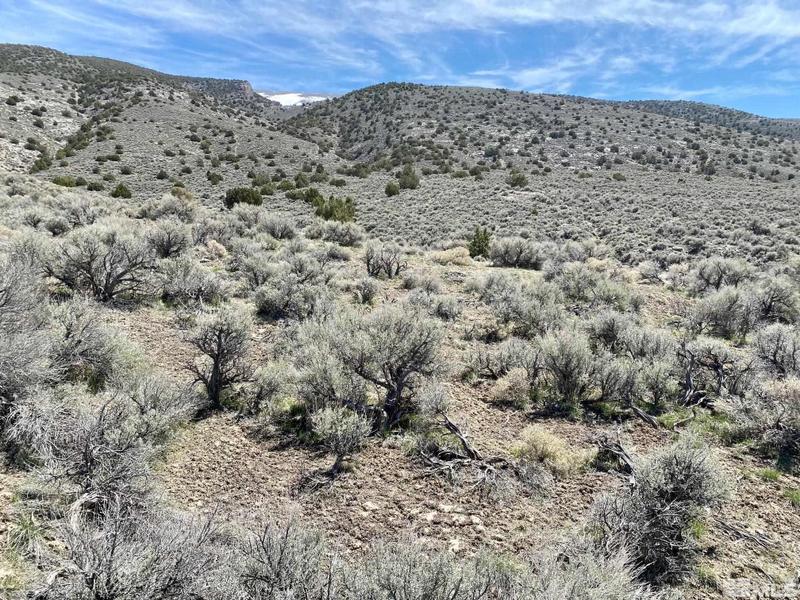 25200 Ramsey Road, Lovelock, NV 89419 for Sale