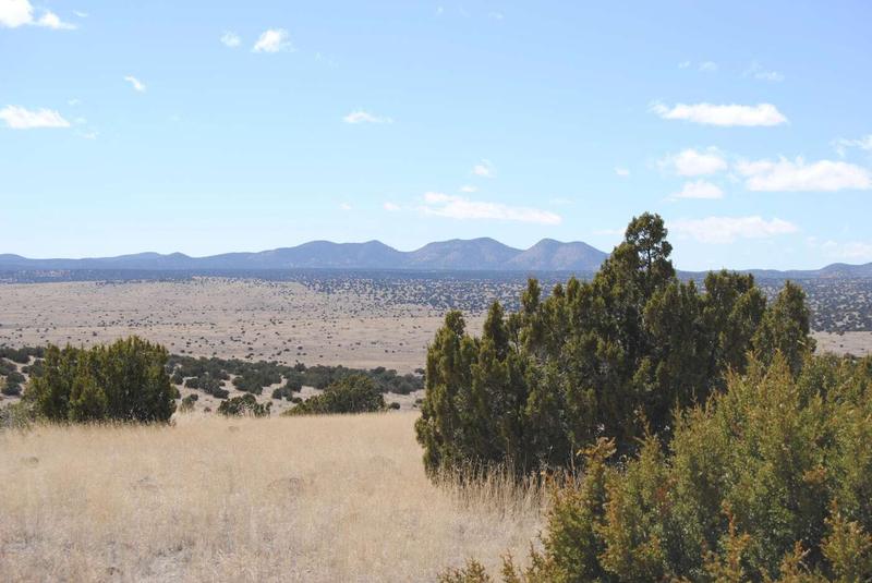 38 Lost Calf Lane, Magdalena, NM 87825  623660082 for Sale