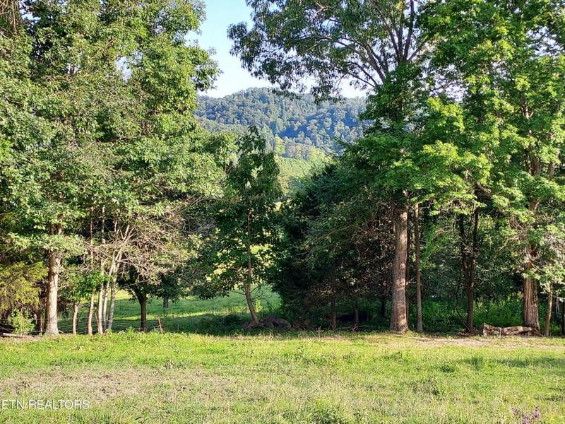 TBD LOT 3 TRENTS CHAPEL RD, Sneedville, TN 37869 Farm For Sale  MLS# 1250519