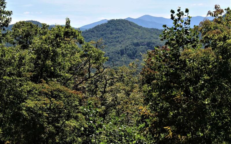 Hayesville, Clay County, NC Undeveloped Land, Homesites for sale Property ID: 411566634