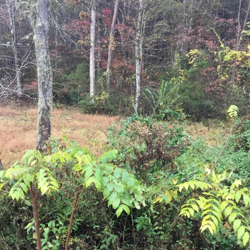 00 PAUL COOPER RD, Whittier, NC 28789 Land For Sale  MLS# 26035627