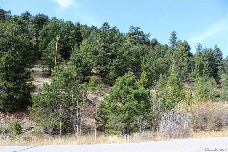 15200 INDIANA GULCH ROAD, Ward, CO 80481 Land For Sale  MLS# 7928016