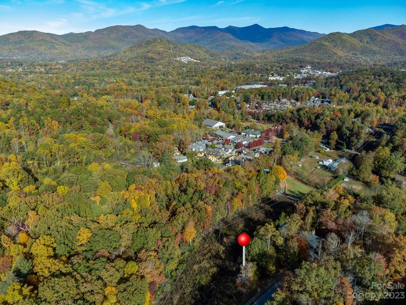 68 Cottage Settings Lane, Unit 290, Black Mountain, NC 28711 for Sale