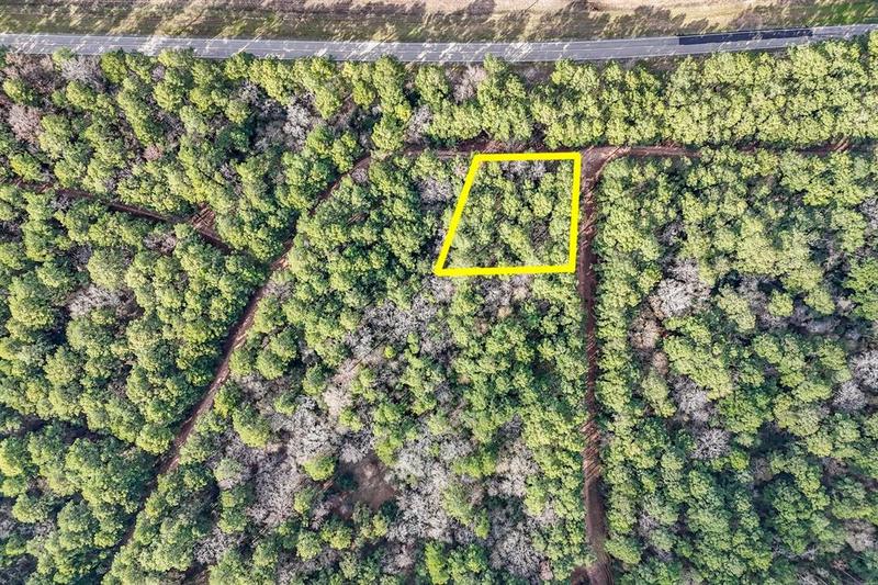 0 Hickory Bow Lane, Hempstead, TX 77445 for Sale