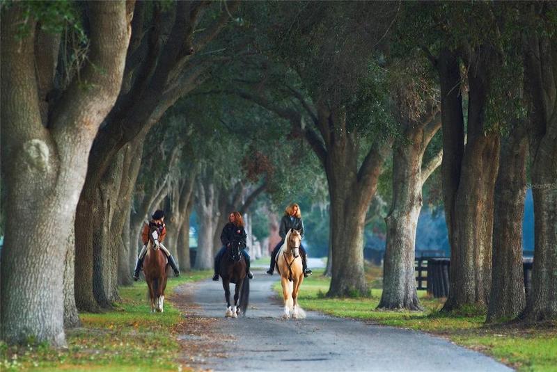 0 Southeast 116th Pl Road, Unit LOT 11, Ocala, FL 34480 for Sale