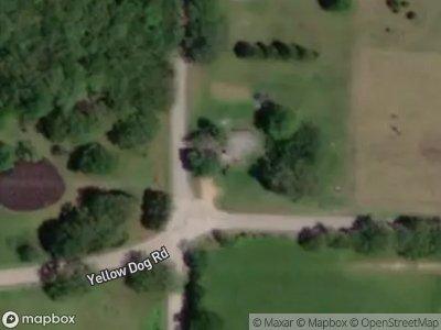 Yellow Dog Rd for Sale