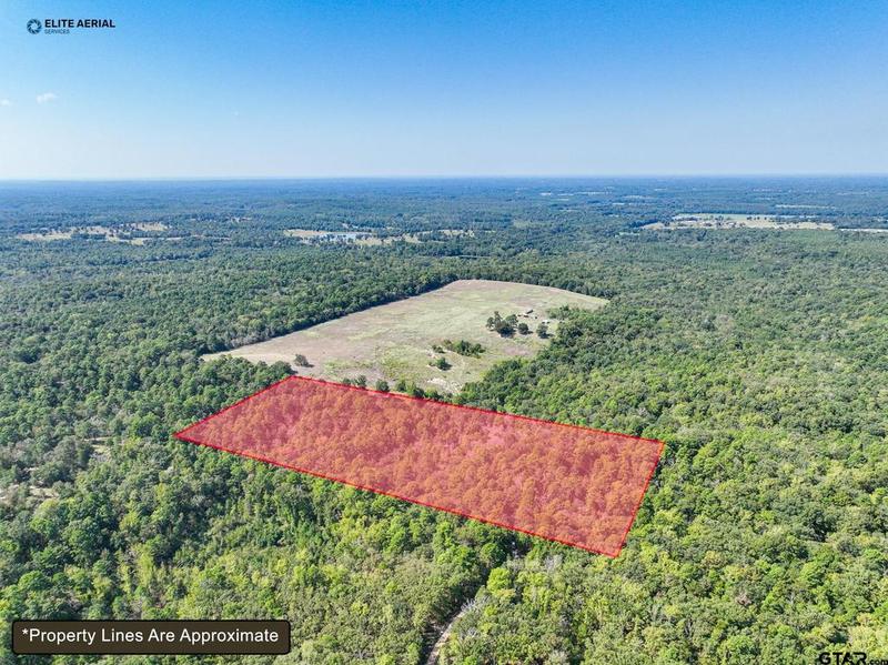Tbd PR 8556, Winnsboro, TX 75494 for Sale