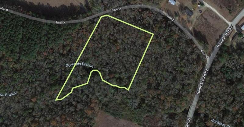 Tract 2A 20 District, Manning, SC 29102 - MLS 24002922 for Sale