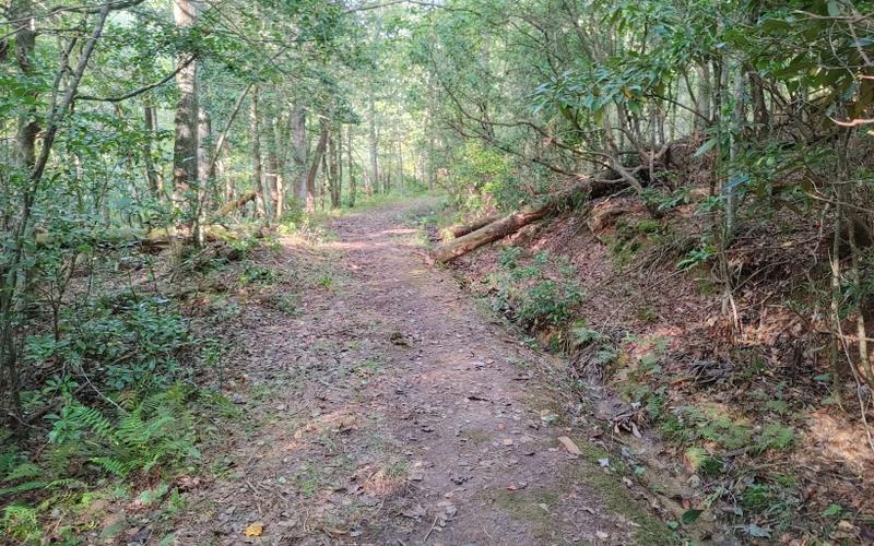 Mineral Bluff, Fannin County, GA Undeveloped Land, Homesites for sale Property ID: 418838702