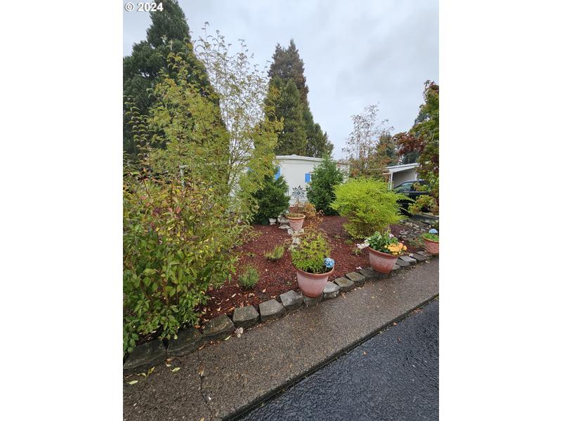 205 S 54TH ST, Springfield OR 97478 for Sale