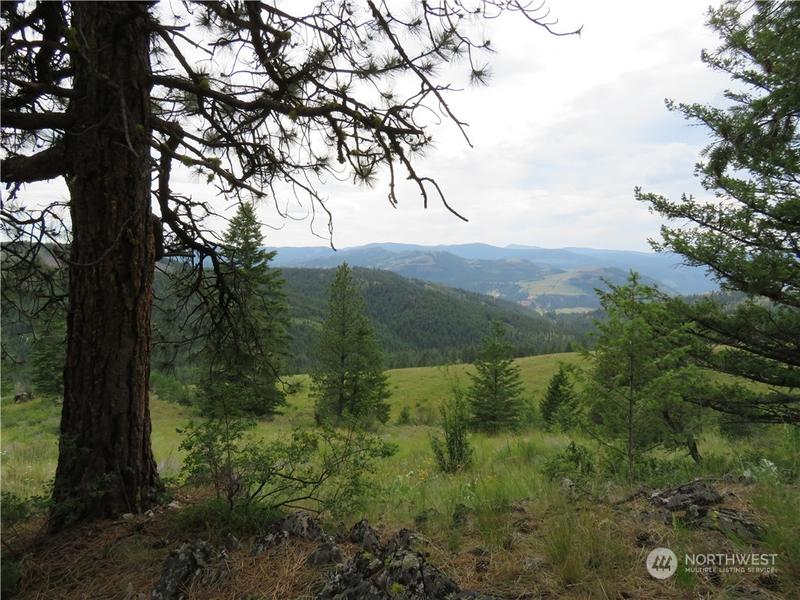 Two 2 Sisters Way, Curlew, WA 99118 for Sale
