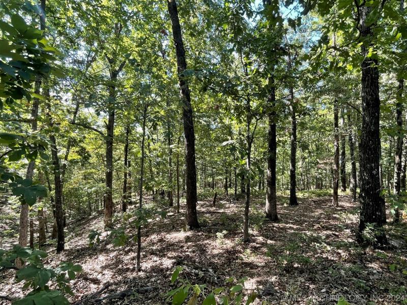 268 FOX RIDGE ROAD, Kansas, OK 74347 Single Family Residence For Sale  MLS# 2404904