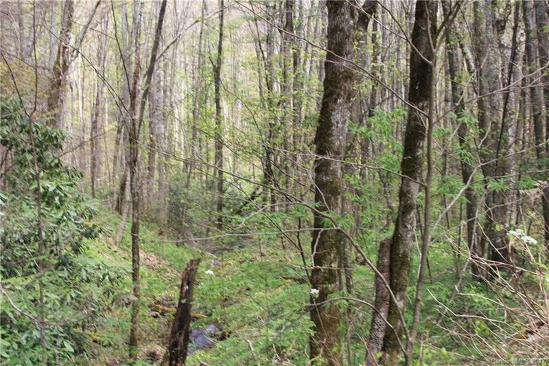 0 Big Spring Trail, Unit 61, Cherokee, NC 28719 for Sale