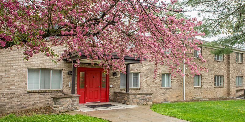 Furnished Vestal, Binghamton room for rent in 2 Bedrooms, Apartment for 1000 per month. Room ID 4739850