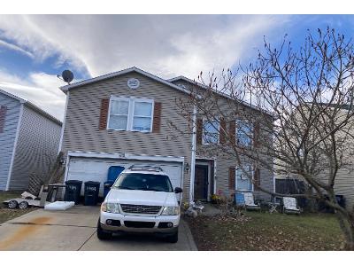 Dutch Elm Dr for Sale