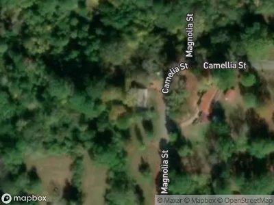 Magnolia St for Sale