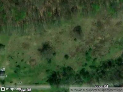 Pine Rd for Sale