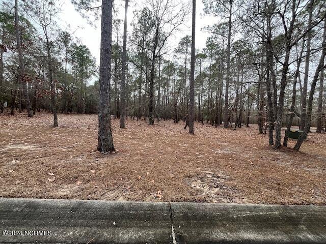 Bolivia, Brunswick County, NC Undeveloped Land, Homesites for sale Property ID: 418874685