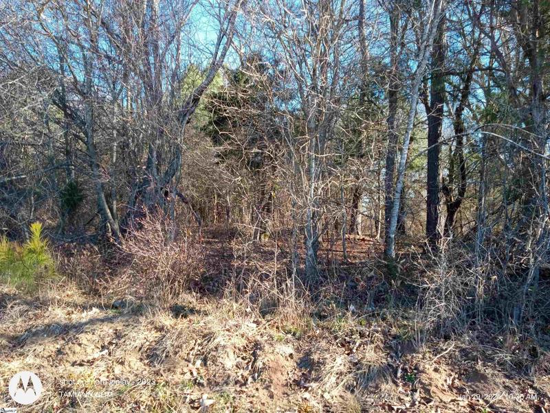 0 Old Buncombe Road, Union, SC 29379 for Sale