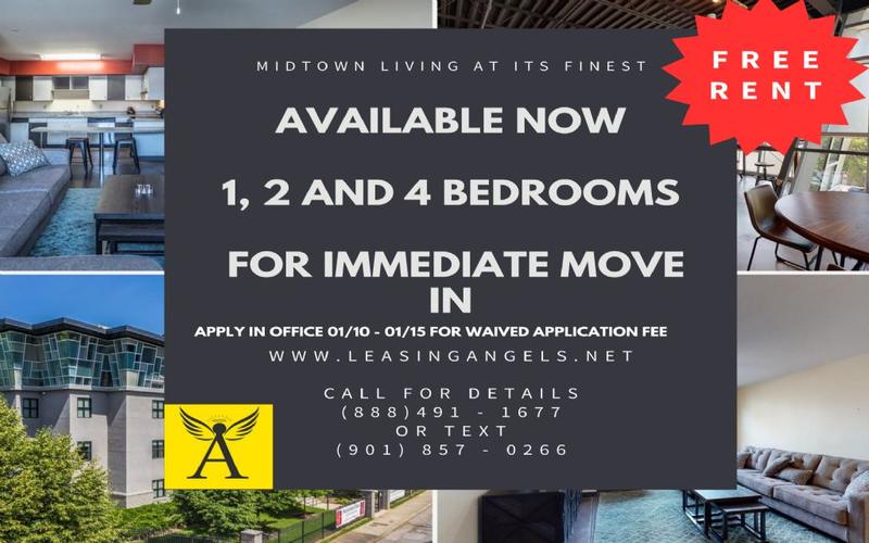 Rental listing in Midtown, Memphis Area. Contact the landlord or property manager direct about rental.