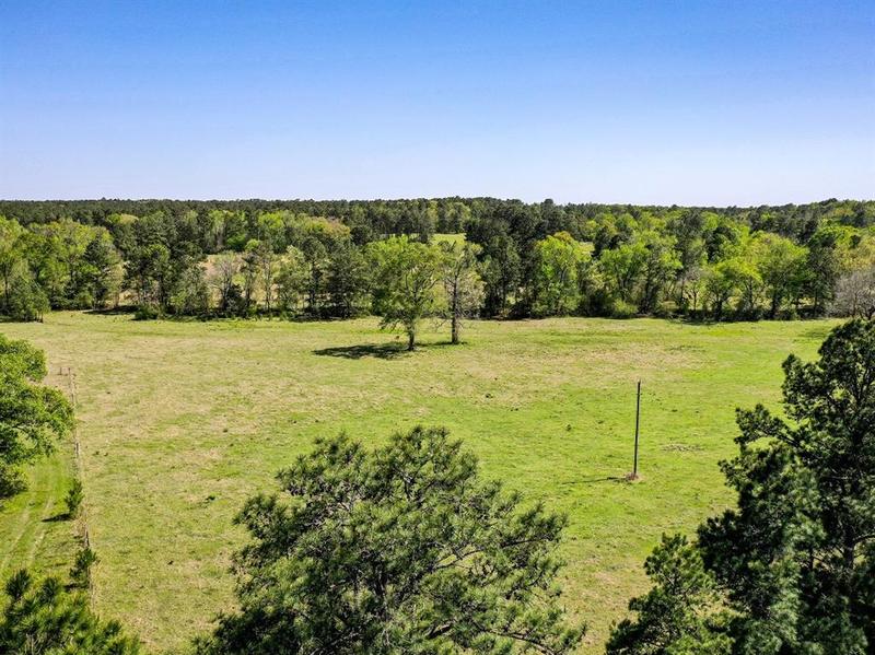 11 Black Jack Road, Huntsville, TX 77340 for Sale