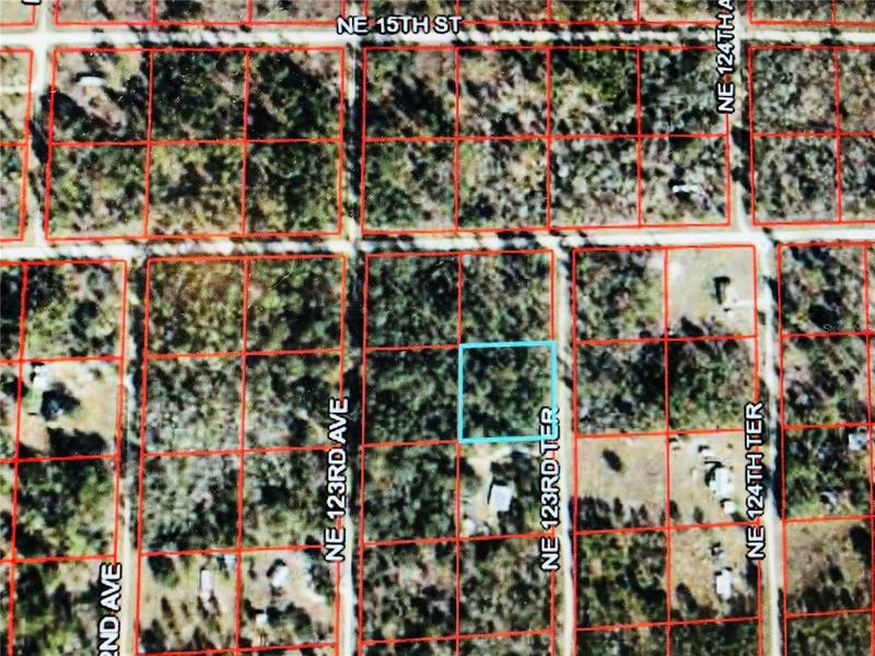 0 Northeast 123rd Terrace, Williston, FL 32696 for Sale