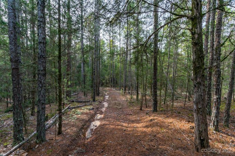 0000 BLACKWELDER ROAD, Indian Land, SC 29707 Land For Sale  MLS# 4091768