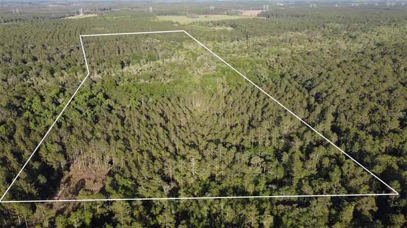 0 Old Train Road, Deltona, FL 32738 for Sale