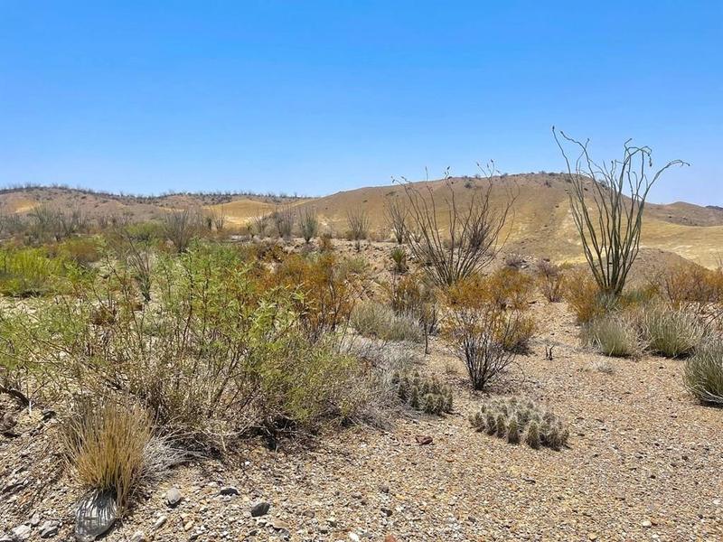 TR 176 Private Rd, Terlingua, TX 79852 for Sale
