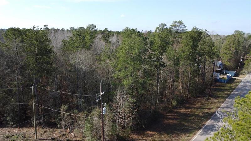 25416 Cambridge Boulevard, New Caney, TX 77357 for Sale