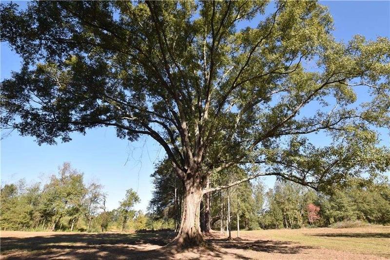 Lot C4 EBB GUILLOT Road, Pearl River, LA 70452  622205550 for Sale