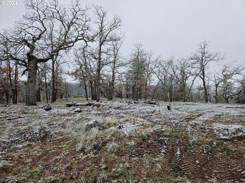 Dufur, Wasco County, OR Undeveloped Land for sale Property ID: 418816699