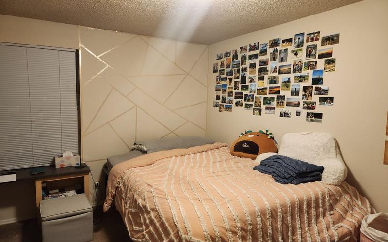 Furnished Fort Collins, Larimer (Fort Collins) room for rent in 4 Bedrooms, Apartment for 570 per month. Room ID 4739568
