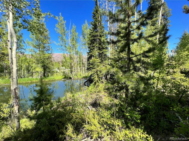 134 MAD MOOSE LN, Grand Lake, CO 80447 Land For Sale  MLS# 2292220 for Rent