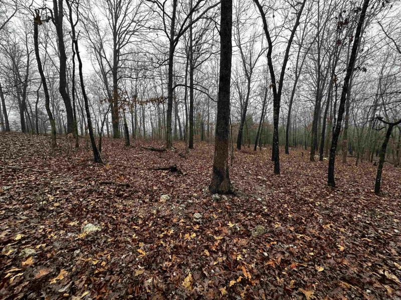 0 BARNES RD, Evening Shade, AR 72532 Land For Sale  MLS# 24002515