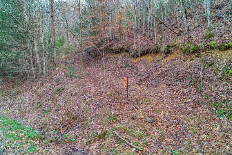 Mooresburg, Hawkins County, TN Undeveloped Land for sale Property ID: 418769301