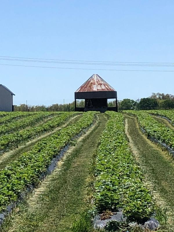 Ozark, Christian County, MO Farms and Ranches, Commercial Property for sale Property ID: 418854816