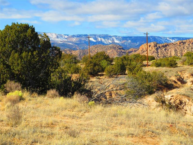 Lot 1b Arroyo Largo, Ojo Caliente, NM 87549  621721823 for Sale