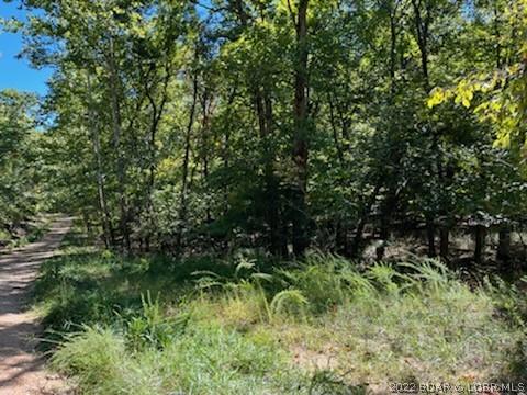 94 Cheyenne Drive, Four Seasons, MO 65049 for Sale
