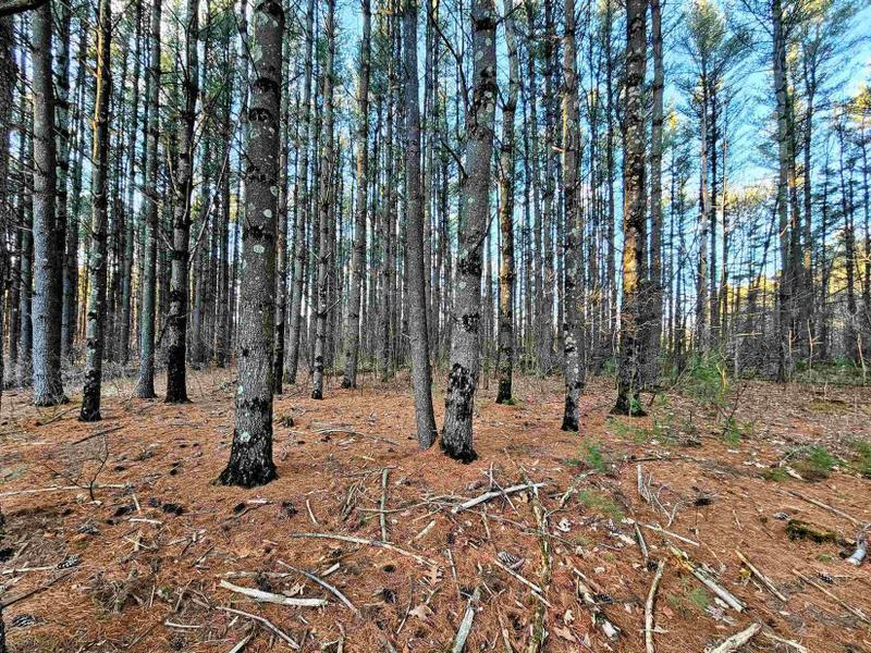 Wisconsin Dells, Adams County, WI Undeveloped Land, Homesites for sale Property ID: 418883619